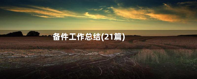 备件工作总结(21篇)