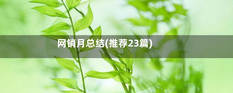 网销月总结(推荐23篇)