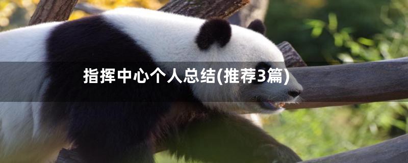 指挥中心个人总结(推荐3篇)