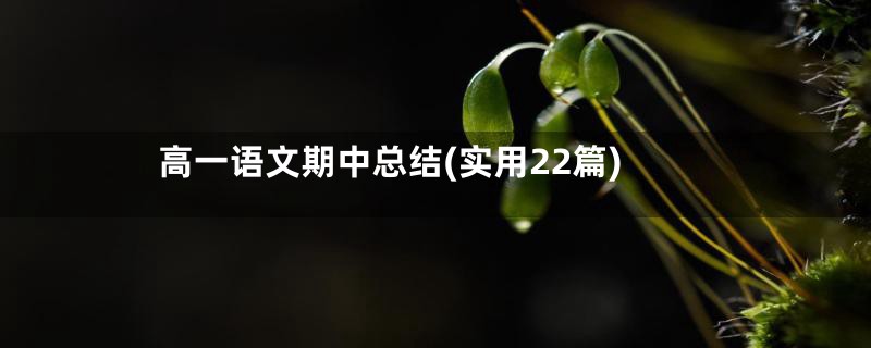 高一语文期中总结(实用22篇)