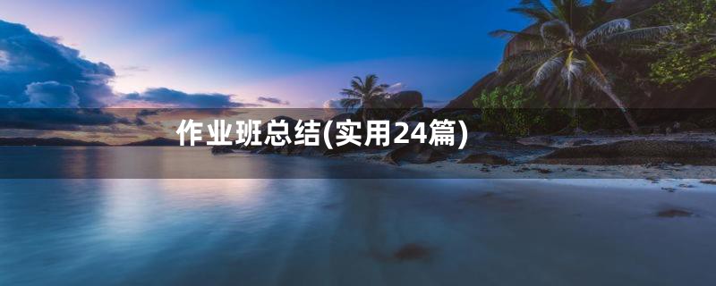 作业班总结(实用24篇)