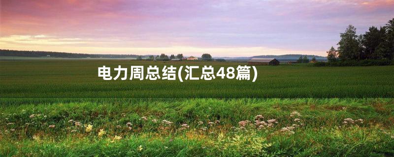 电力周总结(汇总48篇)