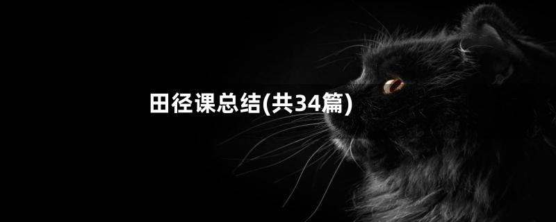 田径课总结(共34篇)