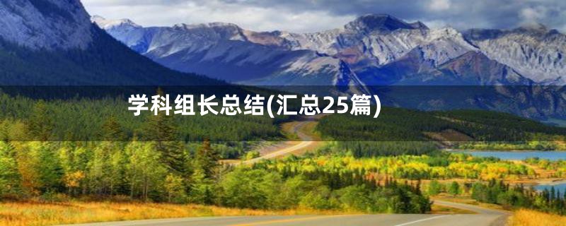 学科组长总结(汇总25篇)