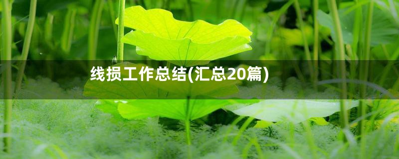 线损工作总结(汇总20篇)