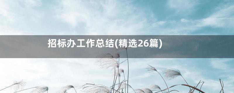 招标办工作总结(精选26篇)