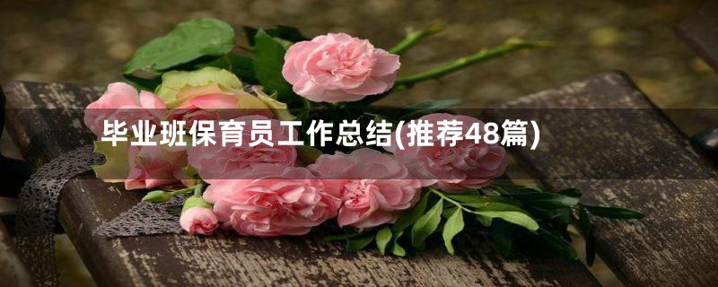 毕业班保育员工作总结(推荐48篇)