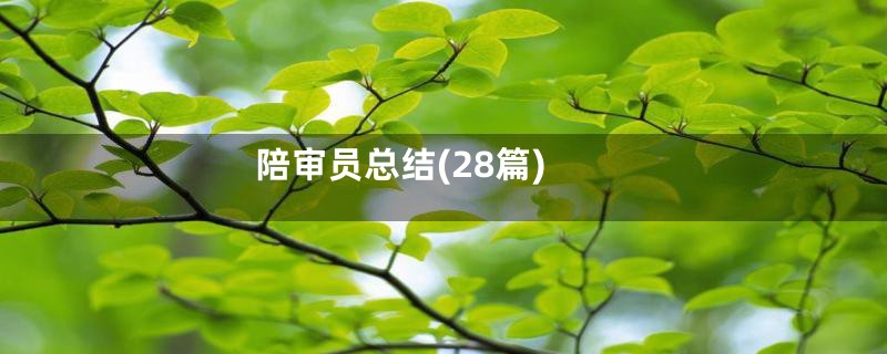 陪审员总结(28篇)