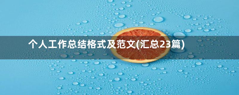 个人工作总结格式及范文(汇总23篇)
