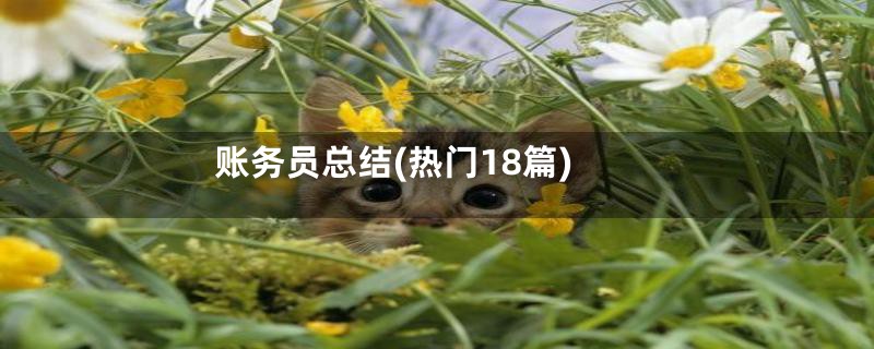 账务员总结(热门18篇)
