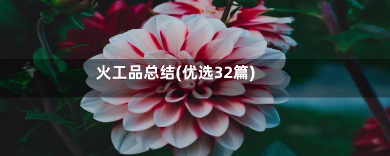 火工品总结(优选32篇)