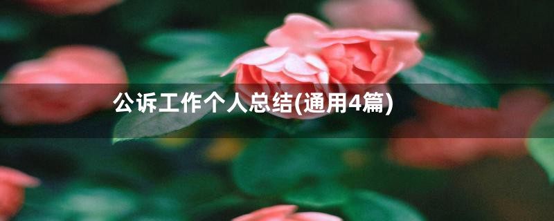 公诉工作个人总结(通用4篇)