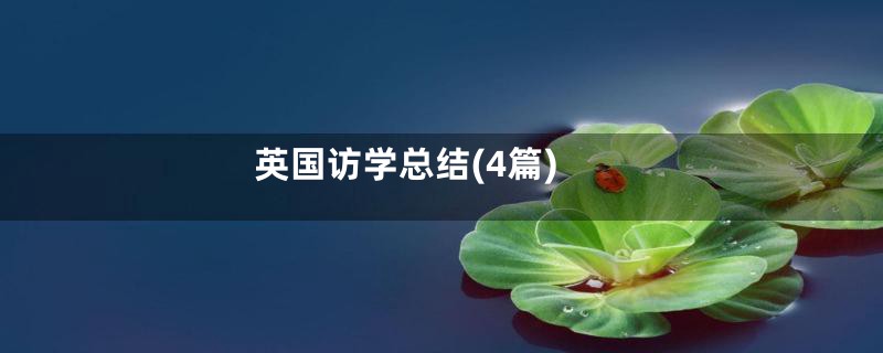 英国访学总结(4篇)