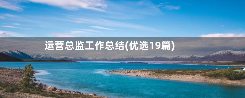 运营总监工作总结(优选19篇)