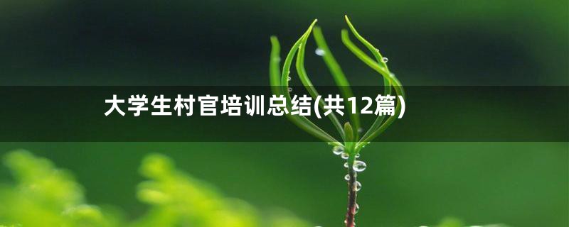 大学生村官培训总结(共12篇)