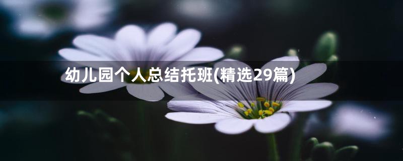 幼儿园个人总结托班(精选29篇)