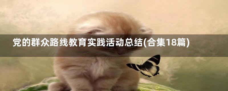 党的群众路线教育实践活动总结(合集18篇)