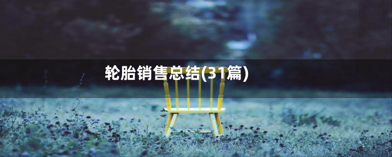 轮胎销售总结(31篇)