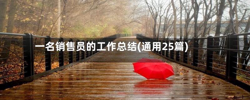 一名销售员的工作总结(通用25篇)
