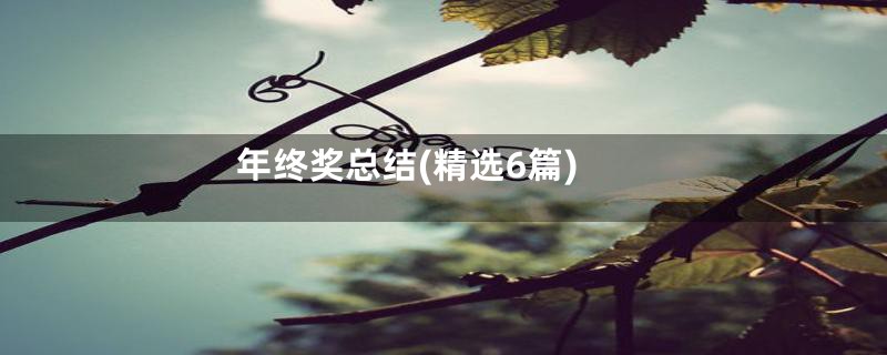 年终奖总结(精选6篇)