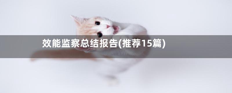 效能监察总结报告(推荐15篇)
