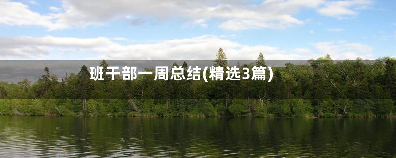 班干部一周总结(精选3篇)