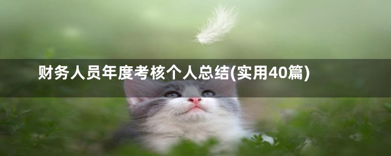 财务人员年度考核个人总结(实用40篇)