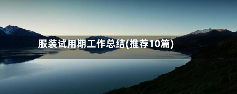 服装试用期工作总结(推荐10篇)
