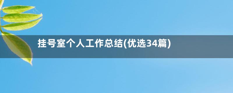 挂号室个人工作总结(优选34篇)
