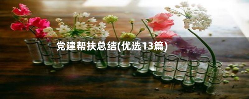 党建帮扶总结(优选13篇)