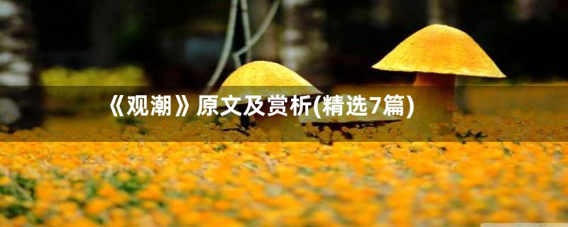 《观潮》原文及赏析(精选7篇)