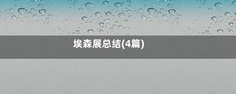 埃森展总结(4篇)