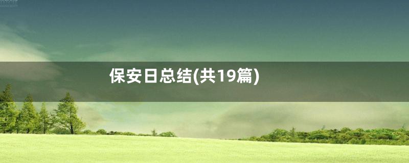 保安日总结(共19篇)