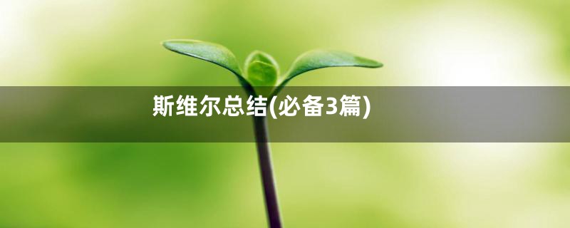 斯维尔总结(必备3篇)