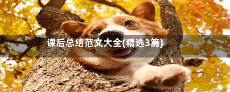 课后总结范文大全(精选3篇)