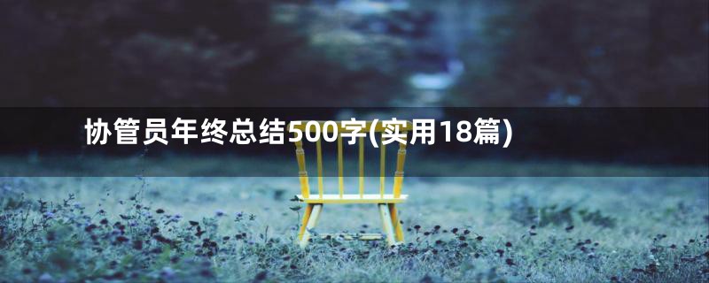 协管员年终总结500字(实用18篇)