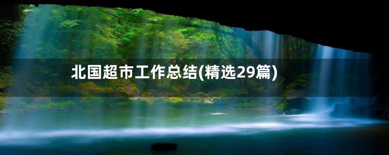 北国超市工作总结(精选29篇)