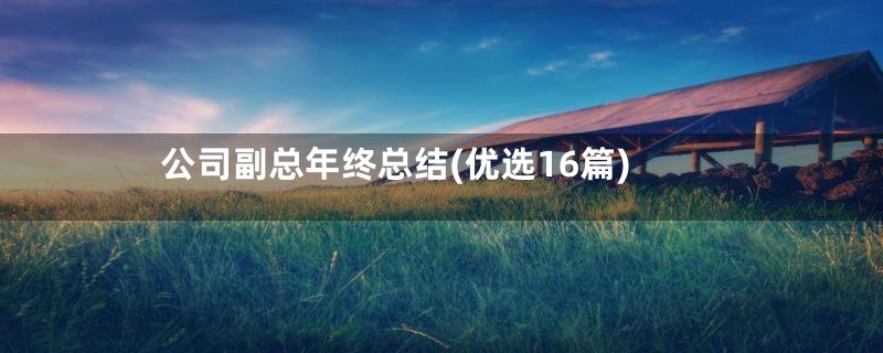 公司副总年终总结(优选16篇)