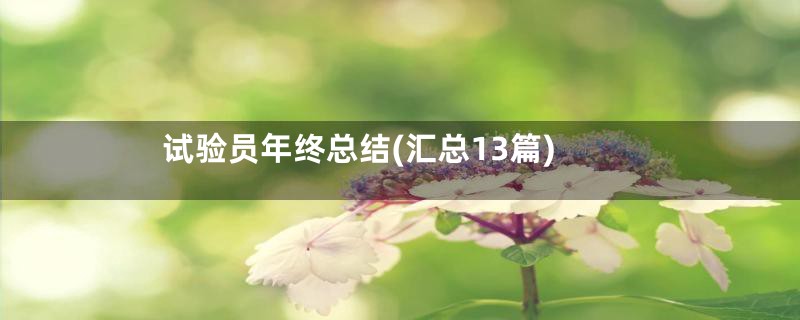 试验员年终总结(汇总13篇)