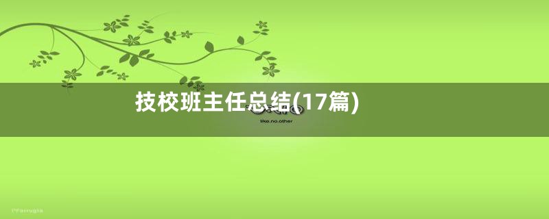 技校班主任总结(17篇)