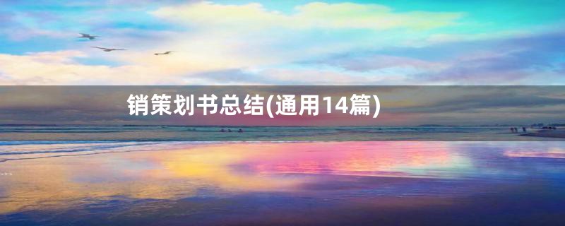 销策划书总结(通用14篇)