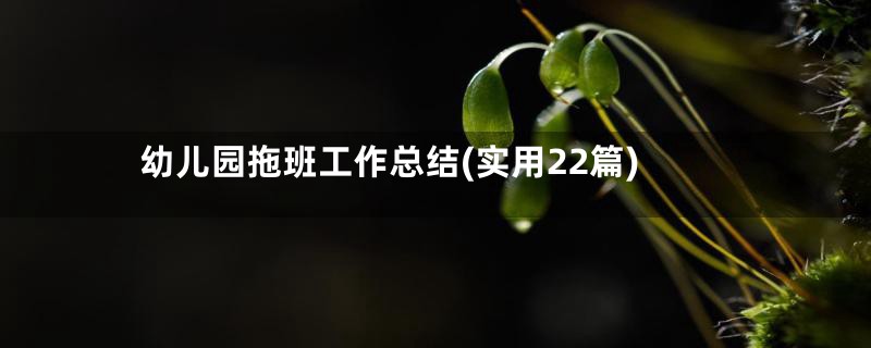 幼儿园拖班工作总结(实用22篇)