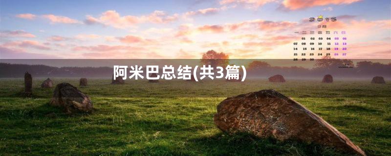 阿米巴总结(共3篇)