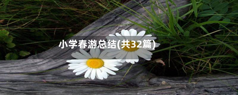 小学春游总结(共32篇)