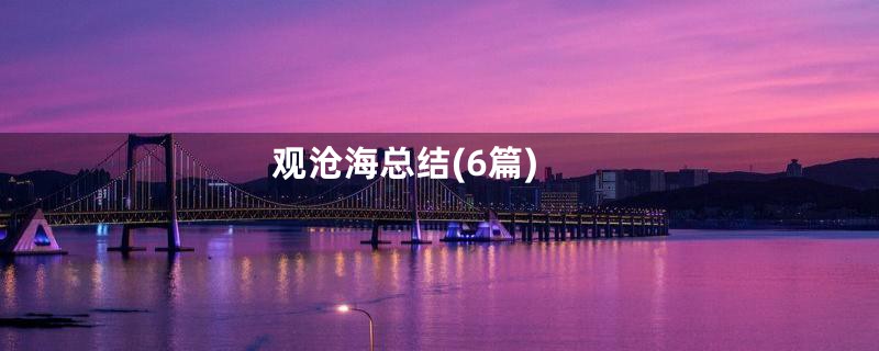 观沧海总结(6篇)