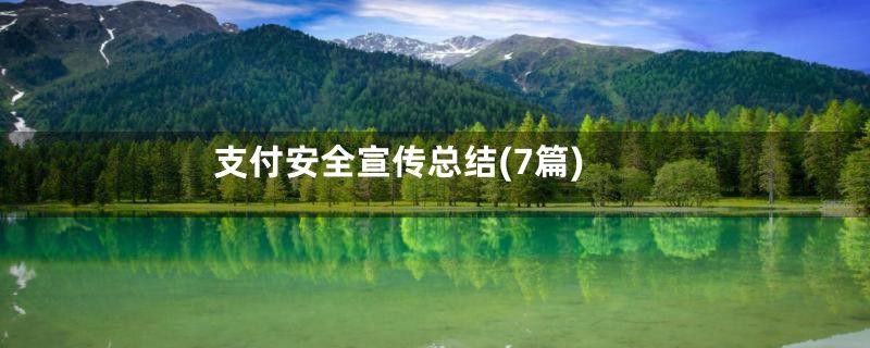 支付安全宣传总结(7篇)