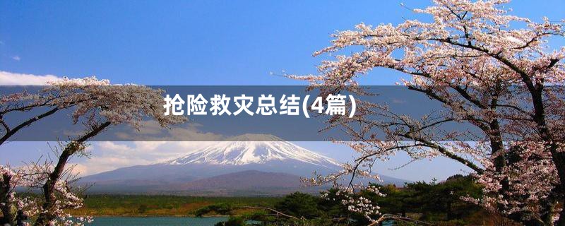 抢险救灾总结(4篇)