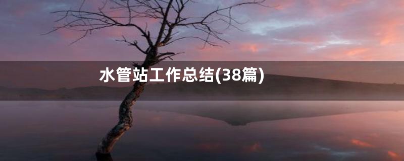 水管站工作总结(38篇)