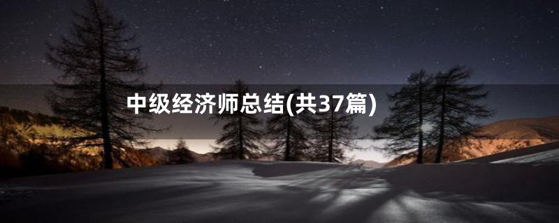 中级经济师总结(共37篇)