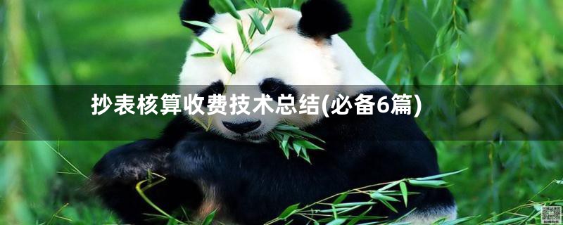 抄表核算收费技术总结(必备6篇)